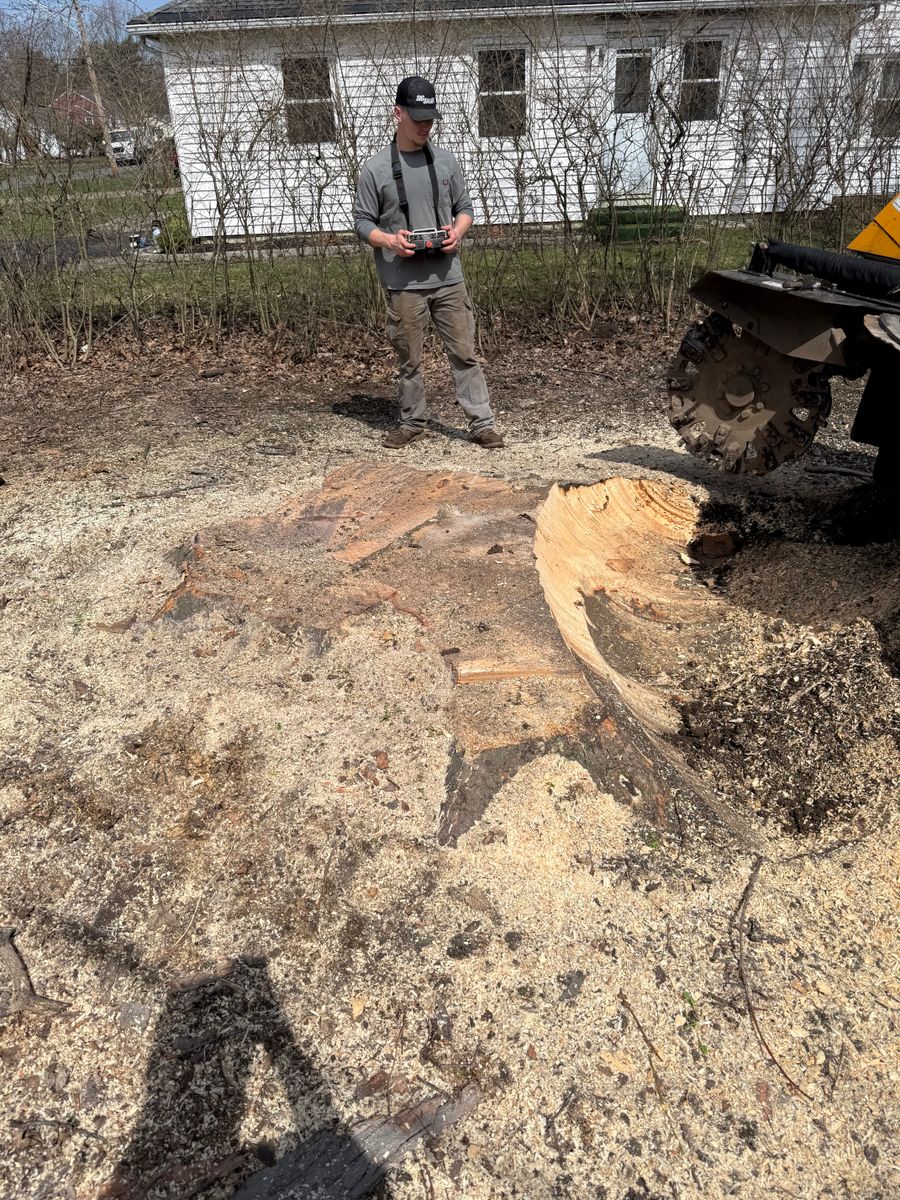 Stump Removal for Lovenguth Logging and Tree Service in West Monroe, NY