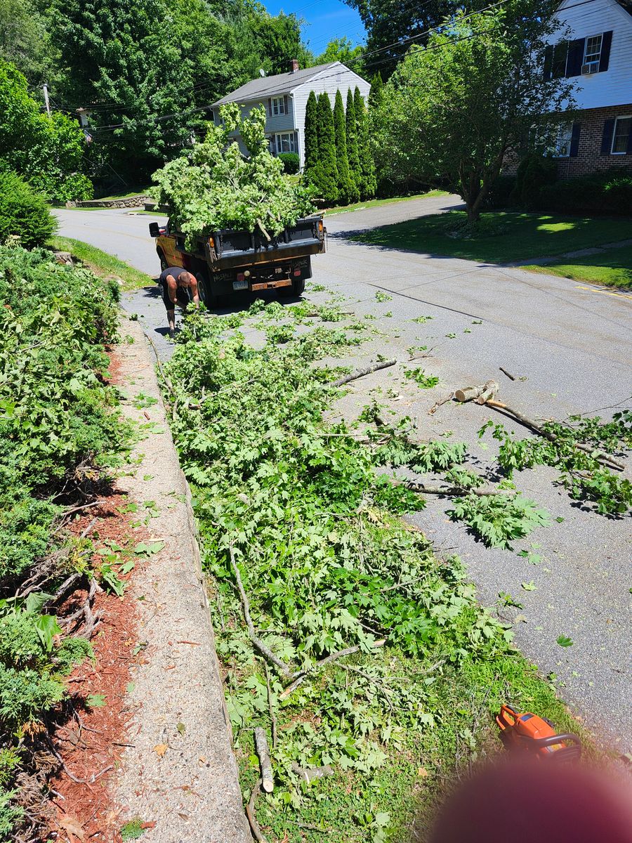 Landscape Installation for Landscape Innovations LLC in Torrington, CT