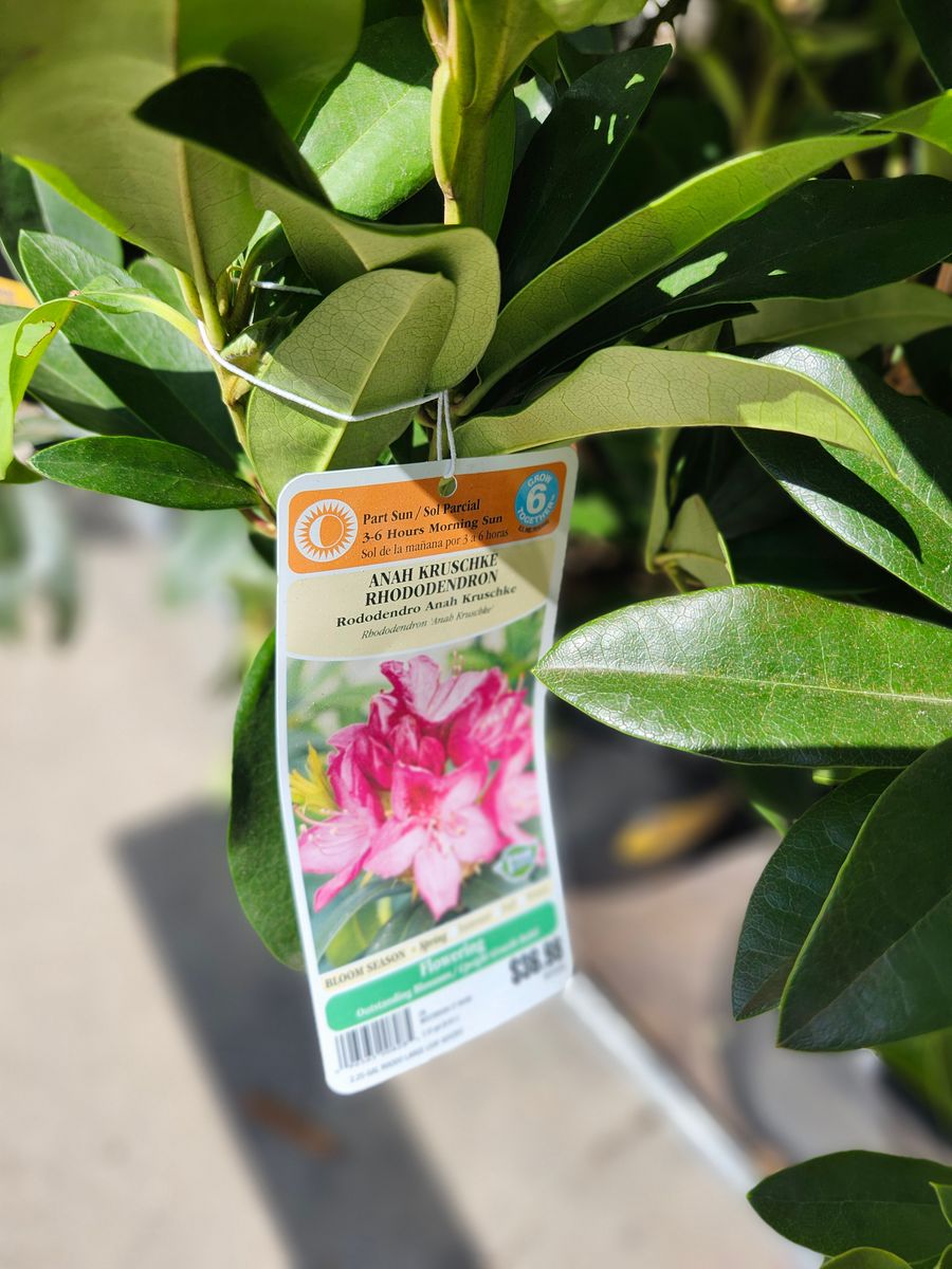 Landscape Installation for Landscape Innovations LLC in Torrington, CT