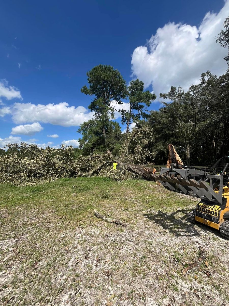 Land Clearing for All Around Guys LLC in Ocala, FL
