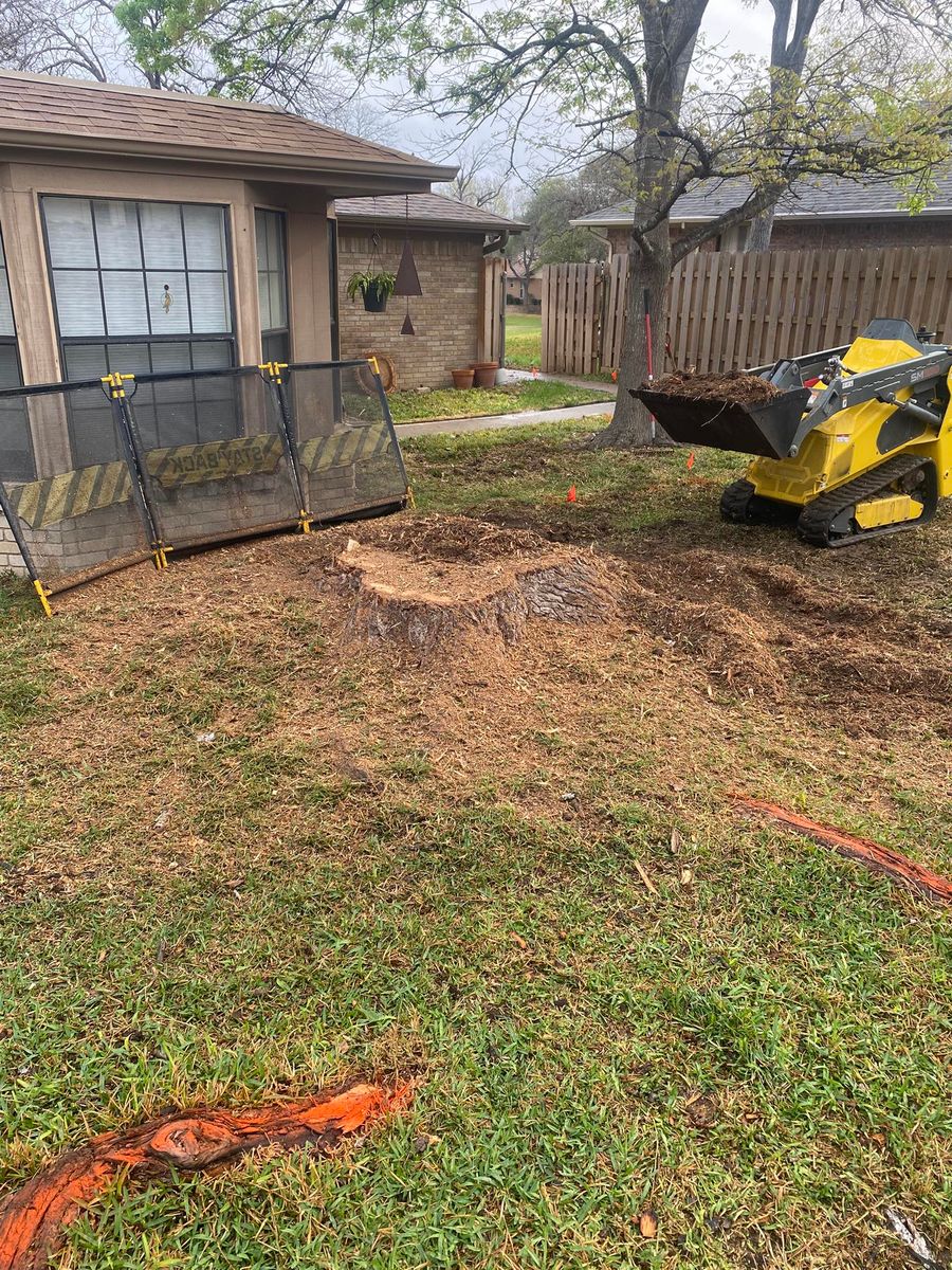 Stump Grinding for West Stump Grinding in Temple, TX