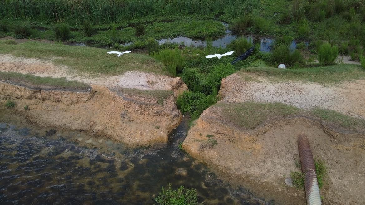 Land Clearing And Clean Up for Southeast Aquatic Land Services LLC  in Waycross, GA