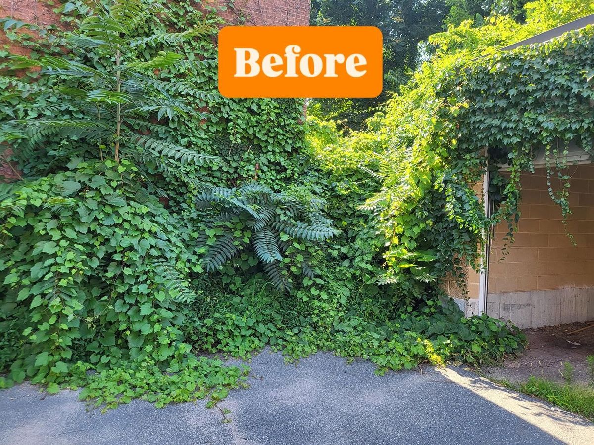 Fall Clean Up for B&L Management LLC in East Windsor, CT