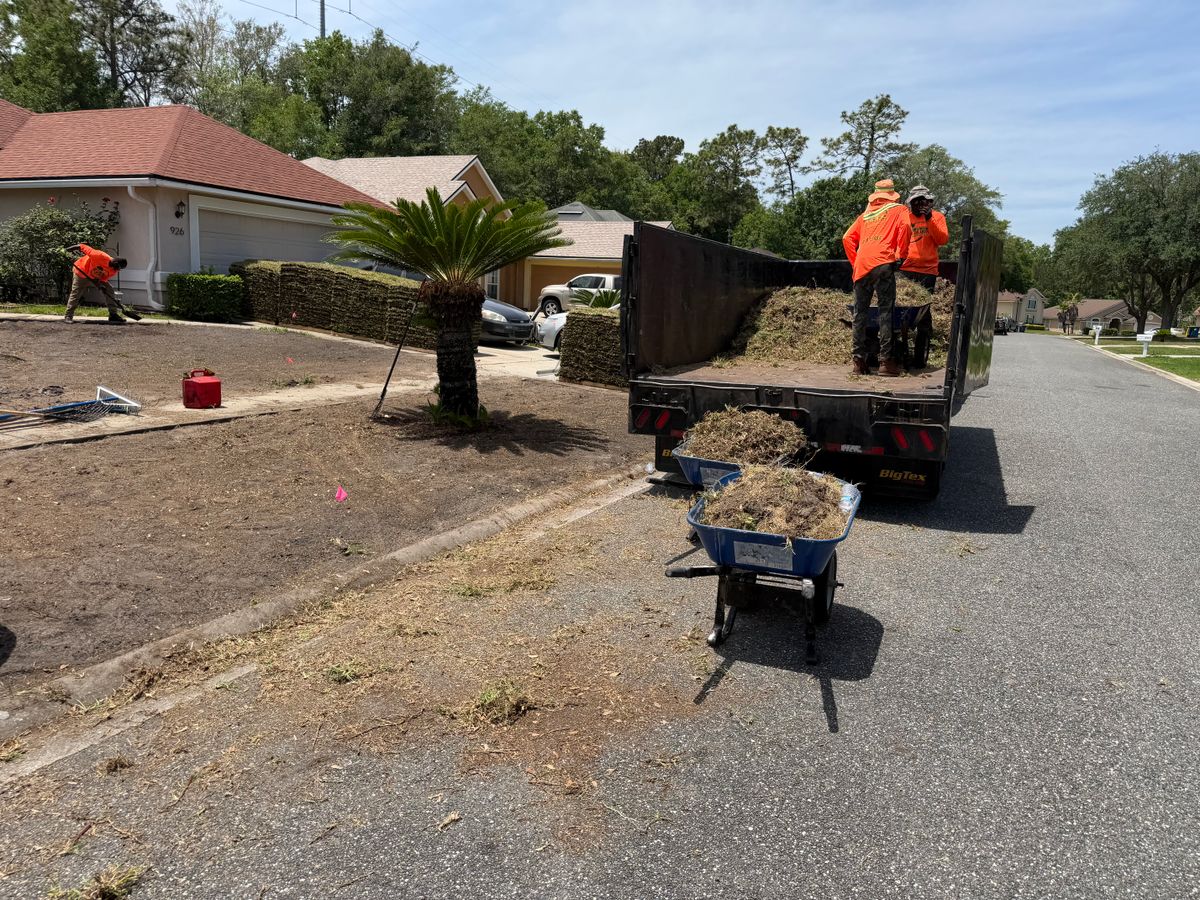 Tree Trimming & Removal for All of the Above Landscaping in Orange Park, FL