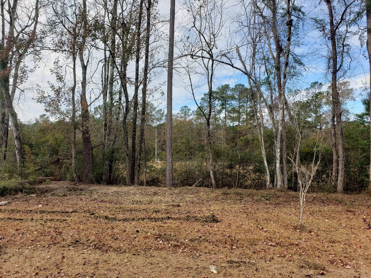 Forestry Mulching for TJ Farm and Land Management in Loris, SC