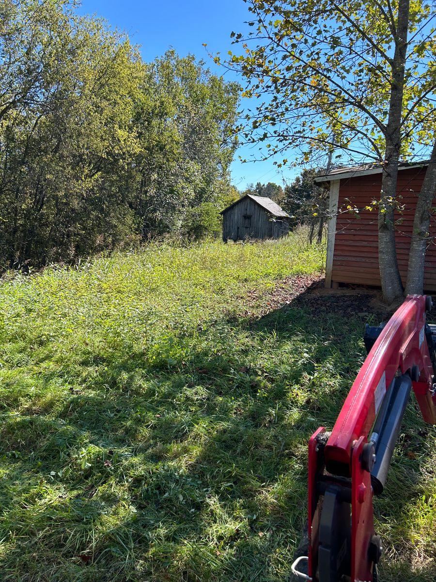 Bush Hog & Tree Work for Gallimore’s Lawn Care in Thomasville, NC