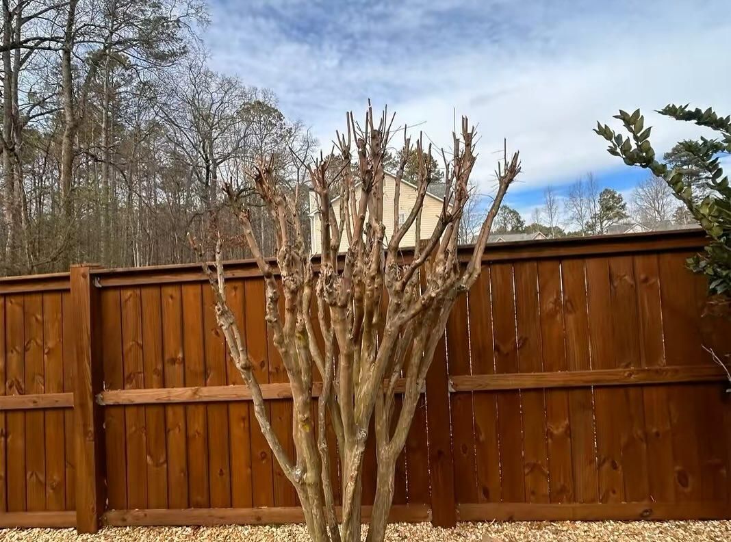 Landscaping Design for Two Brothers Landscaping in Atlanta, Georgia