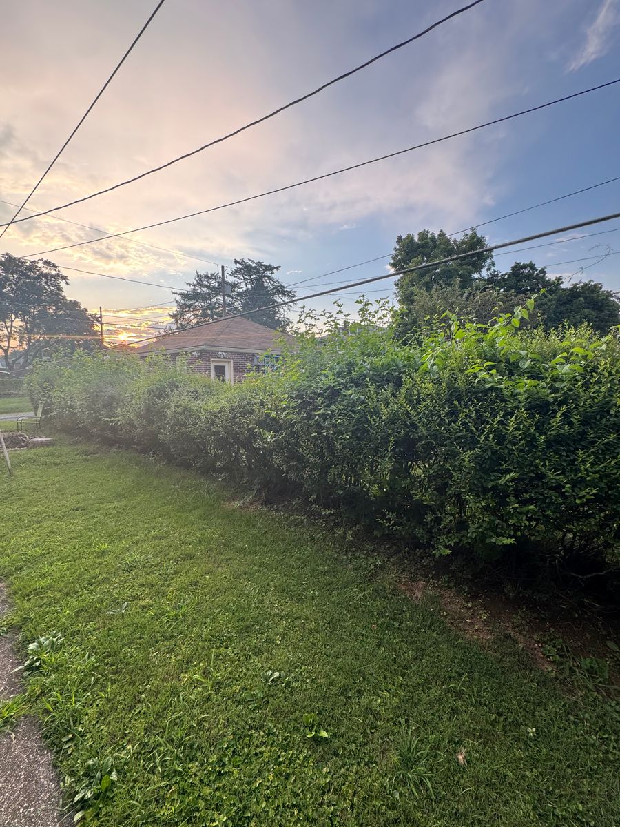 Property Maintenance for Landscape & Lawn Care Pros in Temple, PA