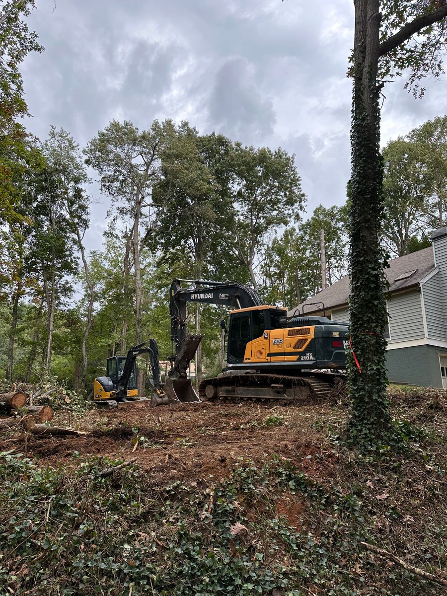 Stump & debris Removal for Stines and Company  in Rutherfordton, NC