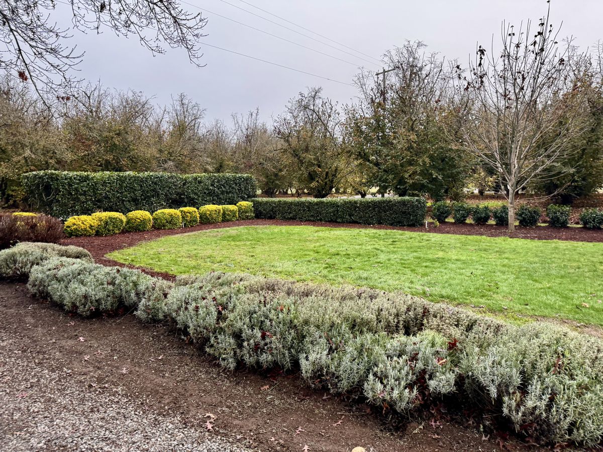 Tree Trimming for Local Tree Removal & Landscaping You Can Trust  in Albany, OR