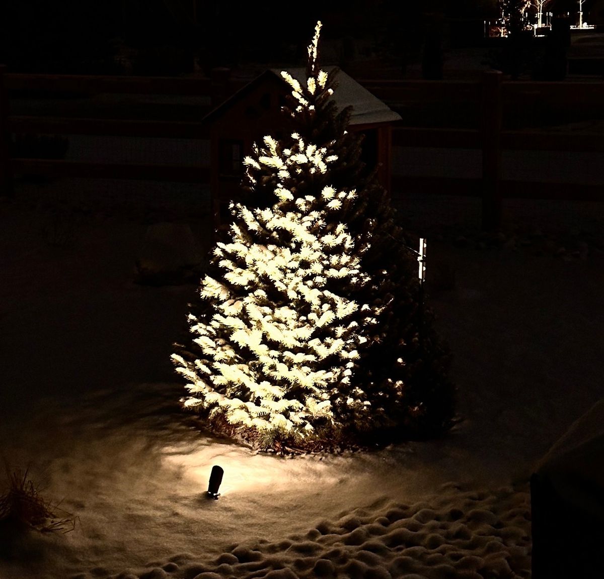 Landscape Lighting for Pikes Peak Landscaping in Colorado Springs, CO