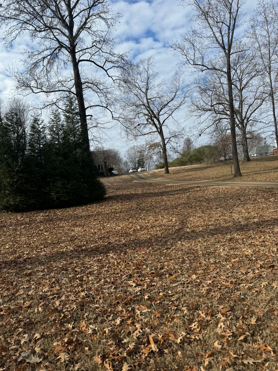 Shrub Trimming for Kelso's Lawn Maintenance in Jackson, TN