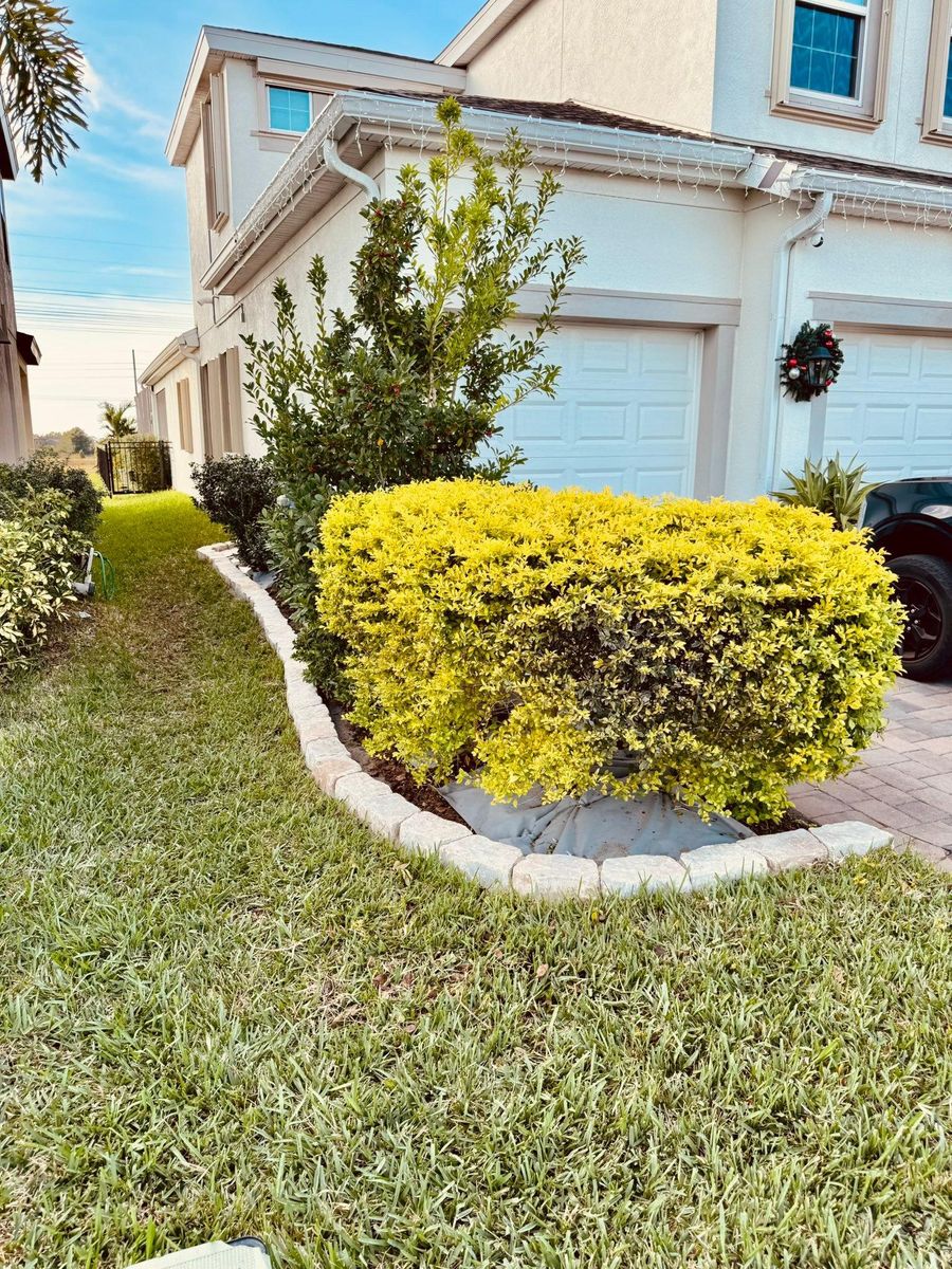 Landscaping for Shoreside Property Services in Apollo Beach, FL
