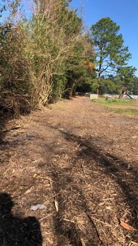 Forestry Mulching for Jacksonville Outdoors in Jacksonville, FL