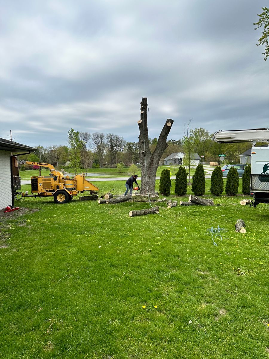 Tree & Stump Grinding Removal for Torres Lawn & Landscaping in Valparaiso, IN