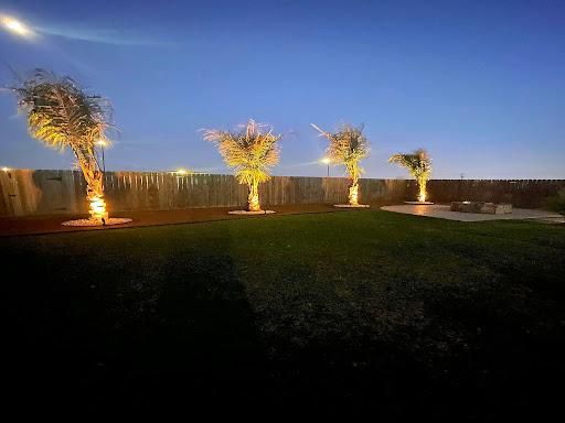 Landscape Lighting for Full Armor Landscapes in League City, TX