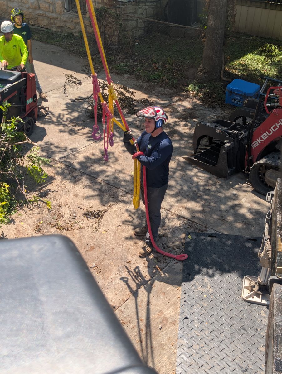 Tree Removal for Mitchell Tree Company in Lathrop, MO