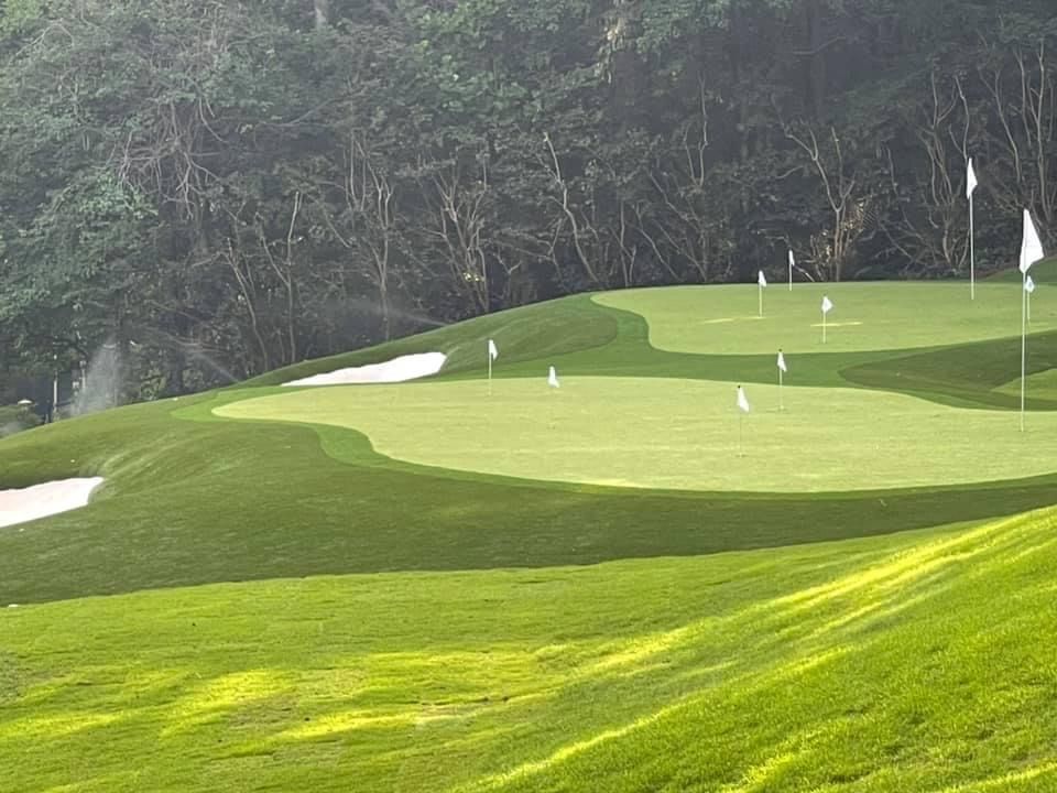 Artificial Turf for Fusion Contracting in North Georgia, GA