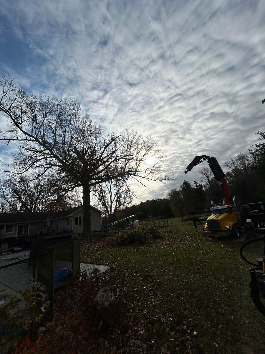 Tree Trimming for Hingewood Tree Service in Salem, NJ
