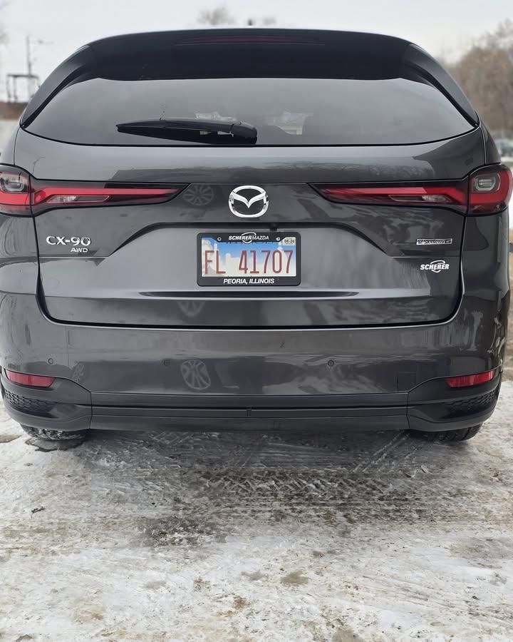 Exterior Detailing for Luxury Auto Detail in Peoria, IL