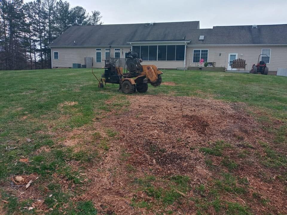 Stump Removal for Backwoods Tree Experts in Hickory, NC