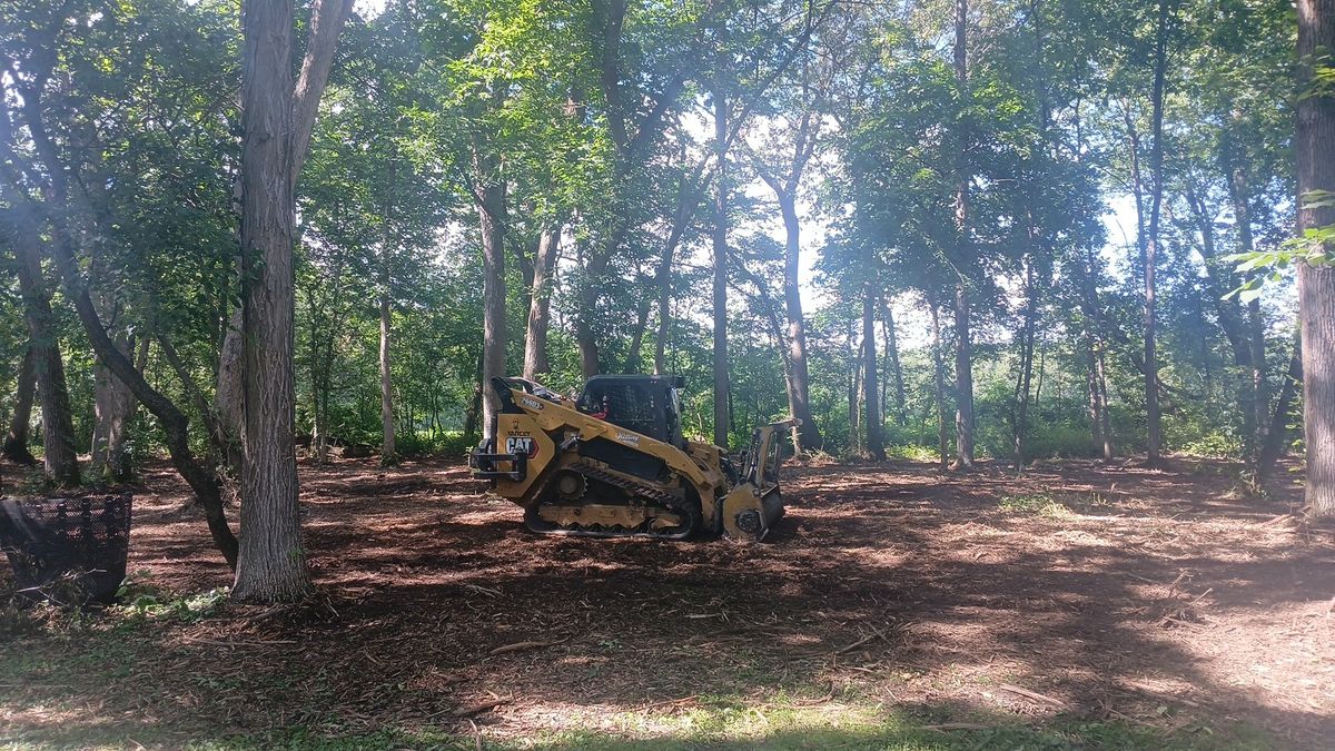 Land Clearing for Willing Trucking & Excavating in Evansville, WI