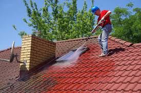 Residential Roof Cleaning for Oasis Solutions in Cornwall, Ontario
