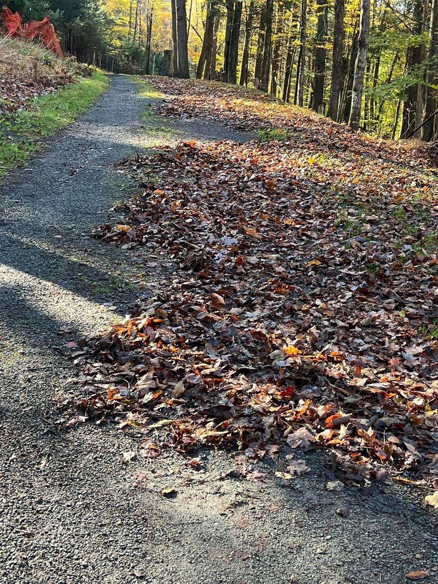 Fall Clean Up for Lopez Landscaping and Hardscapes in Scranton, PA