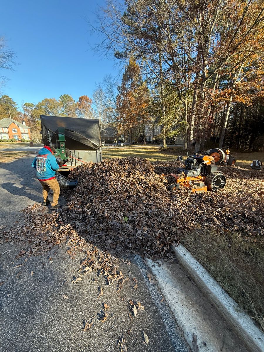 Leaf Removal & Cleanup for Dirt Pro Land Solutions in Fayetteville, GA