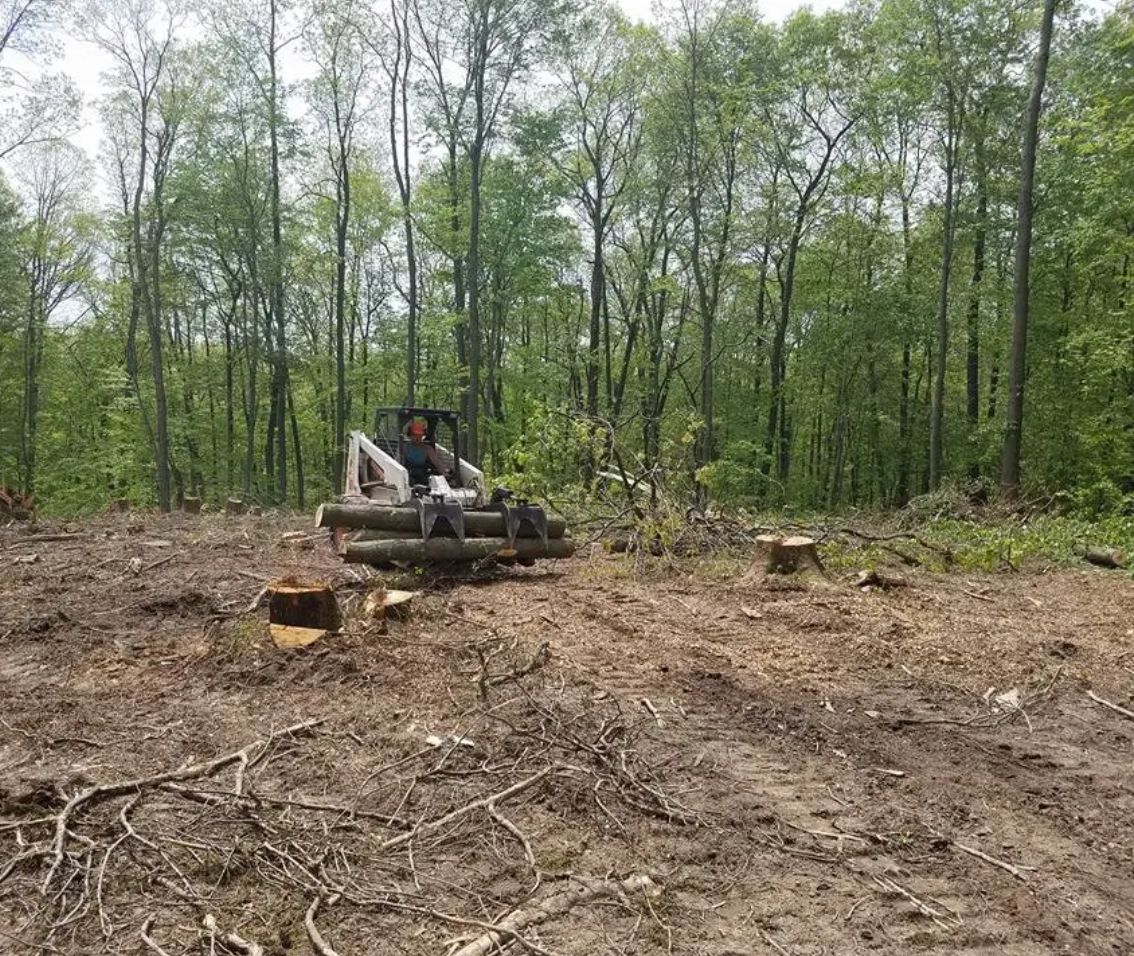 Lot Clearing for C&B Ramos Tree Service in Houston, TX