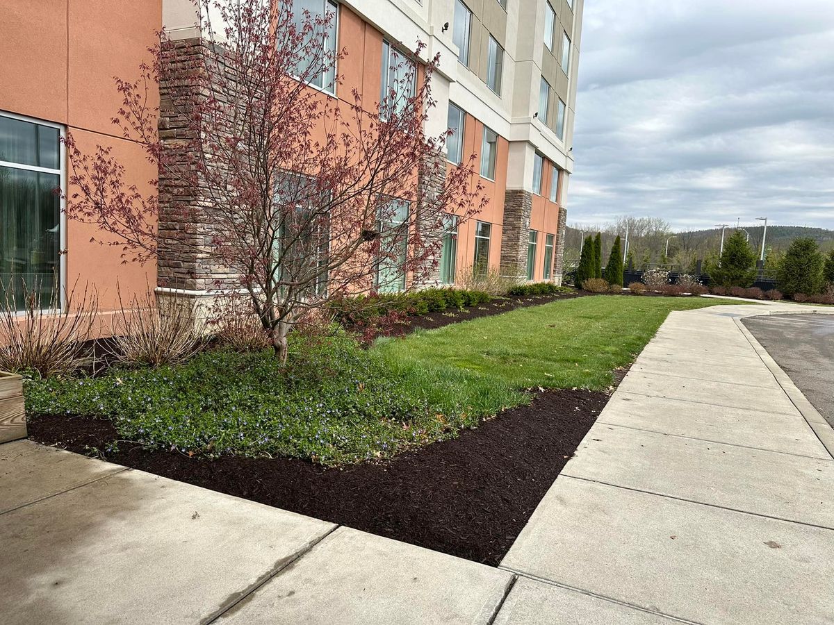 Shrub Trimming for Lopez Landscaping and Hardscapes in Scranton, PA
