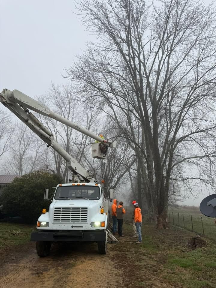 Tree Trimming for Ross Family Tree Service LLC  in Hohenwald, TN