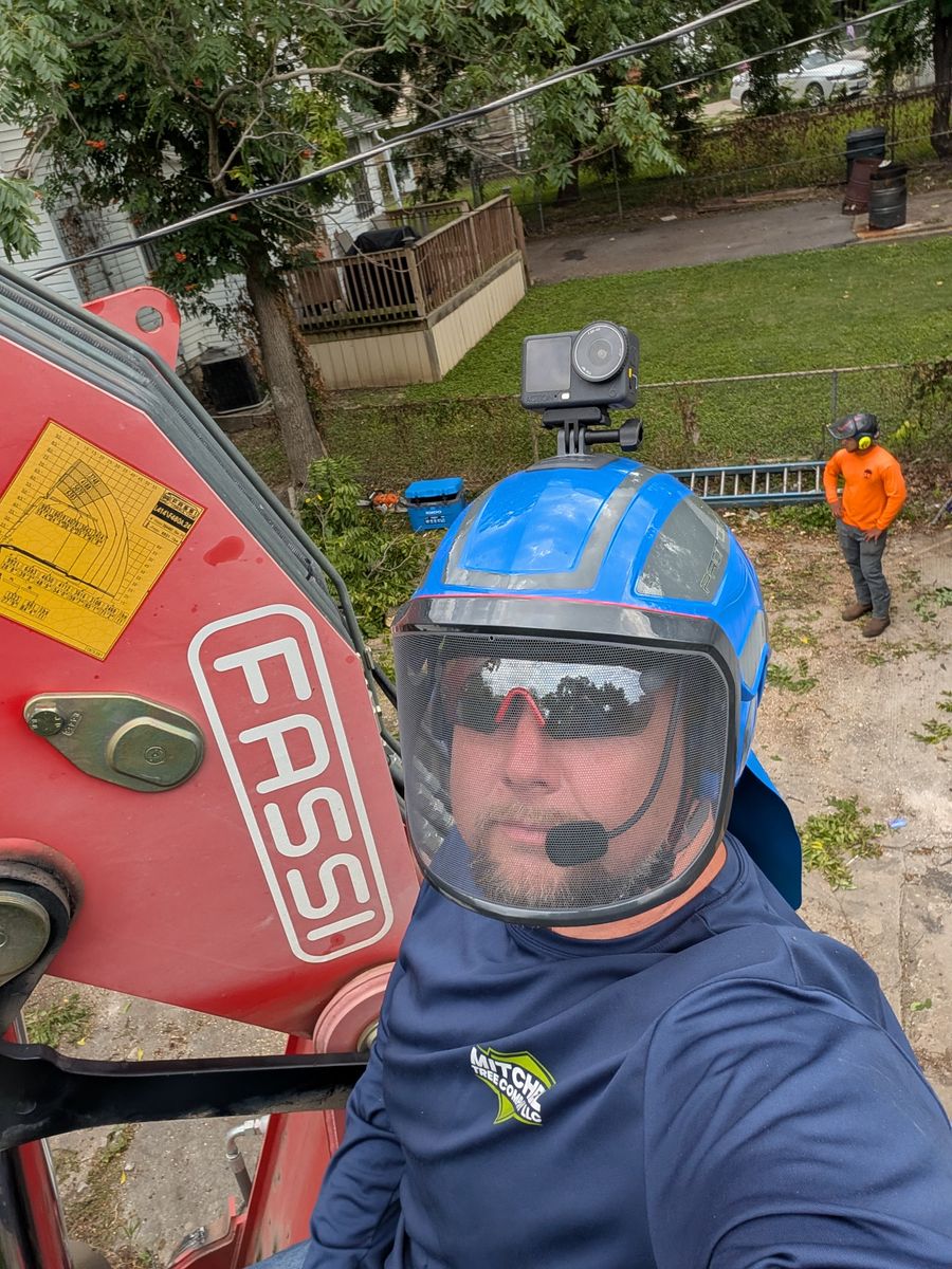 Tree Removal for Mitchell Tree Company in Lathrop, MO