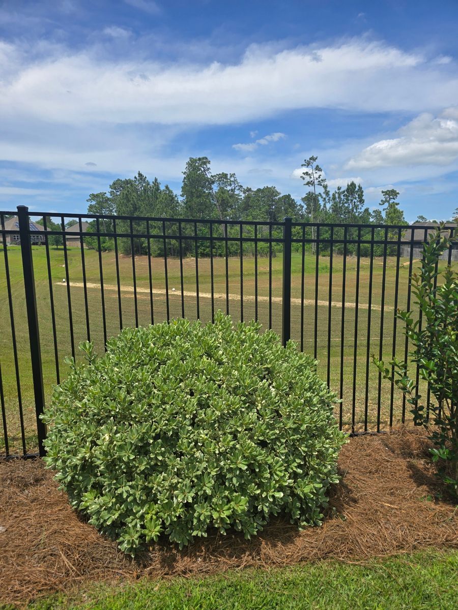 Fence Installation for Phillips Fencing Solutions in Pensacola, FL