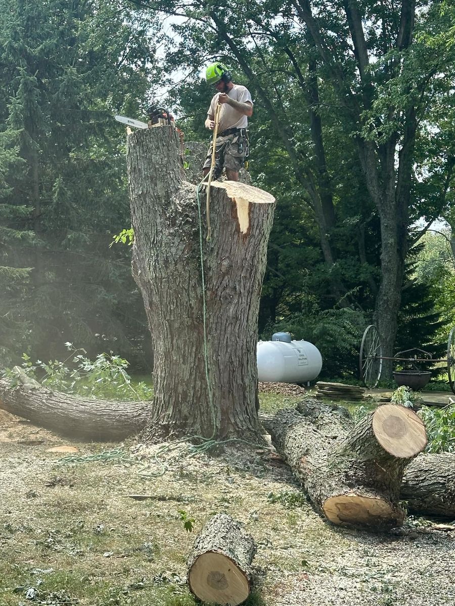 Tree Removal for Foxworth Tree Service in Coloma,, MI