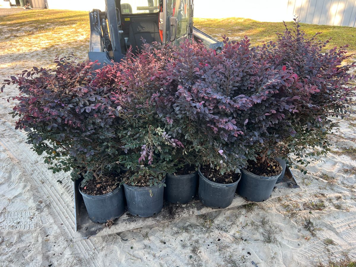 Routine Maintenance for Roberts Lawn & Landscape in Steinhatchee, FL