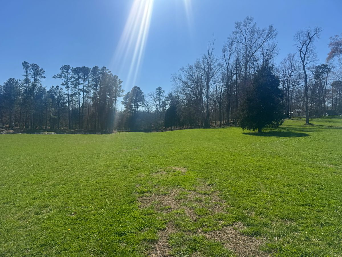 Land Clearing for Miller Farms Hay & Land Management in Knoxville, TN