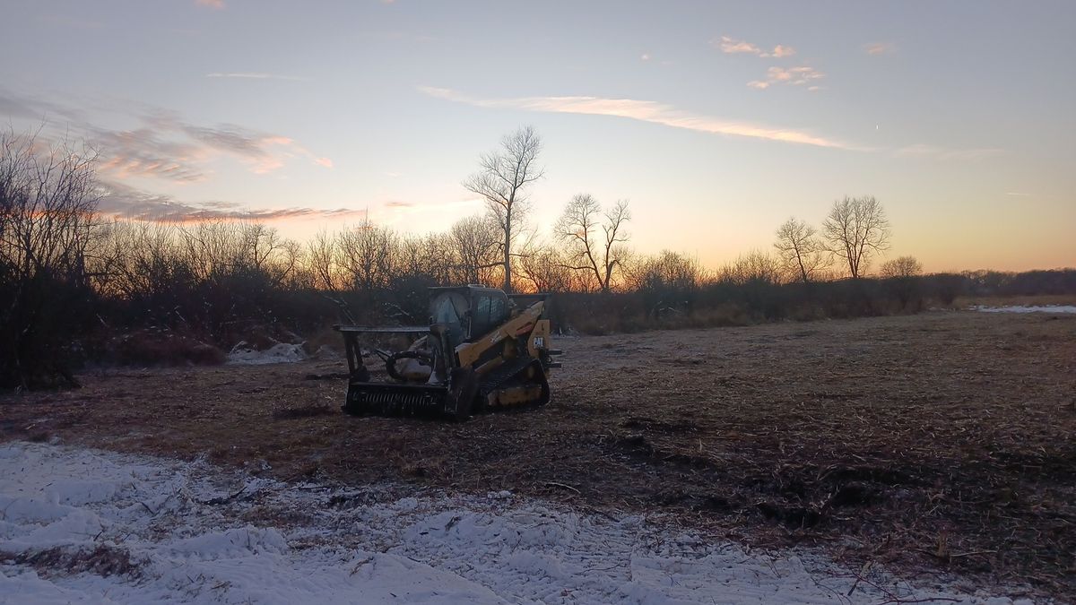 Tree Removal for Willing Trucking & Excavating in Evansville, WI
