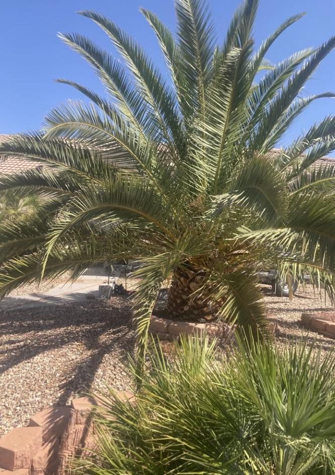 Hardscaping for Top Notch Landscape Services LLC in Mohave Valley, AZ