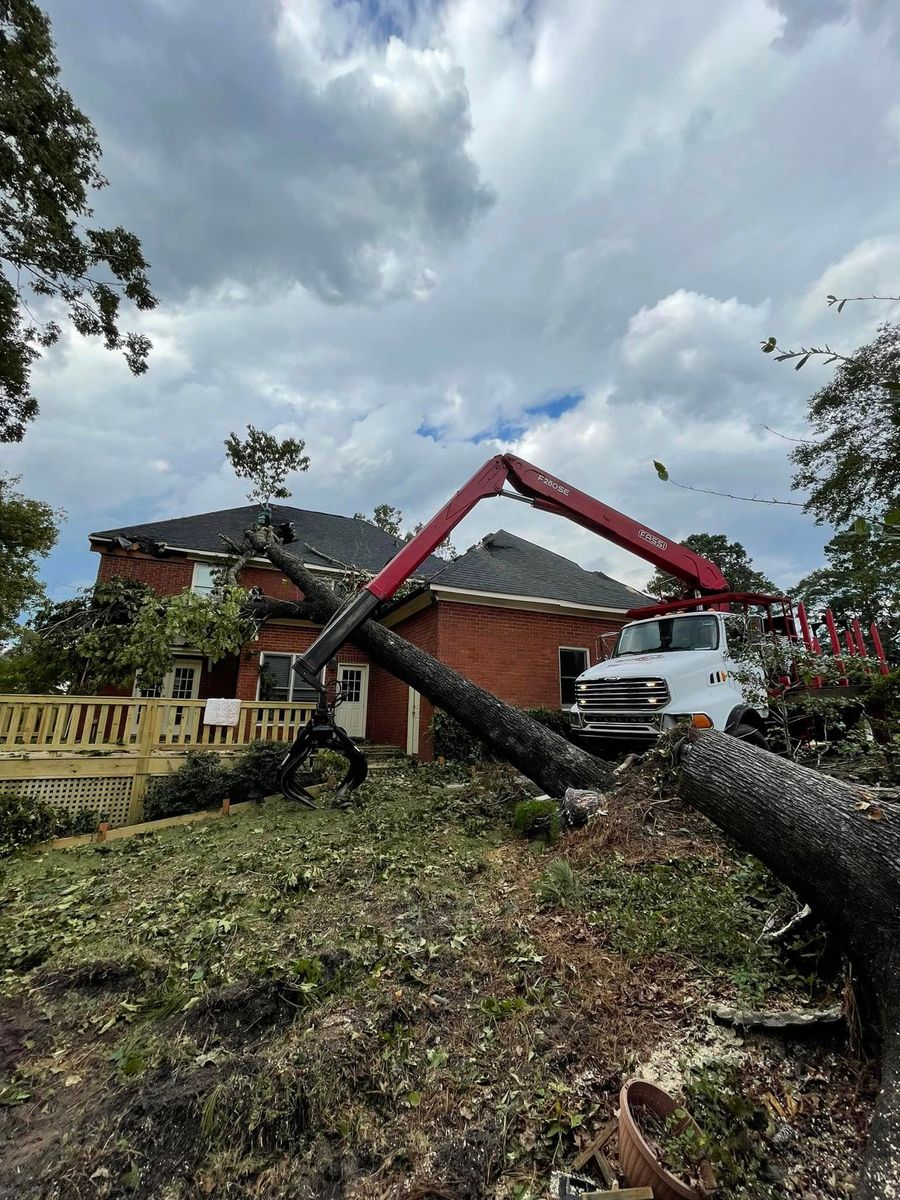 Tree Removal for Falcon stump grinding Tree services in Loganville, GA