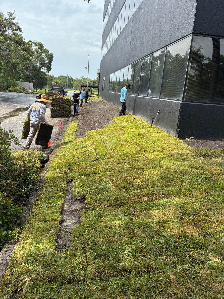 Resod Specialist for Gulf Bay Sod in Clearwater, FL