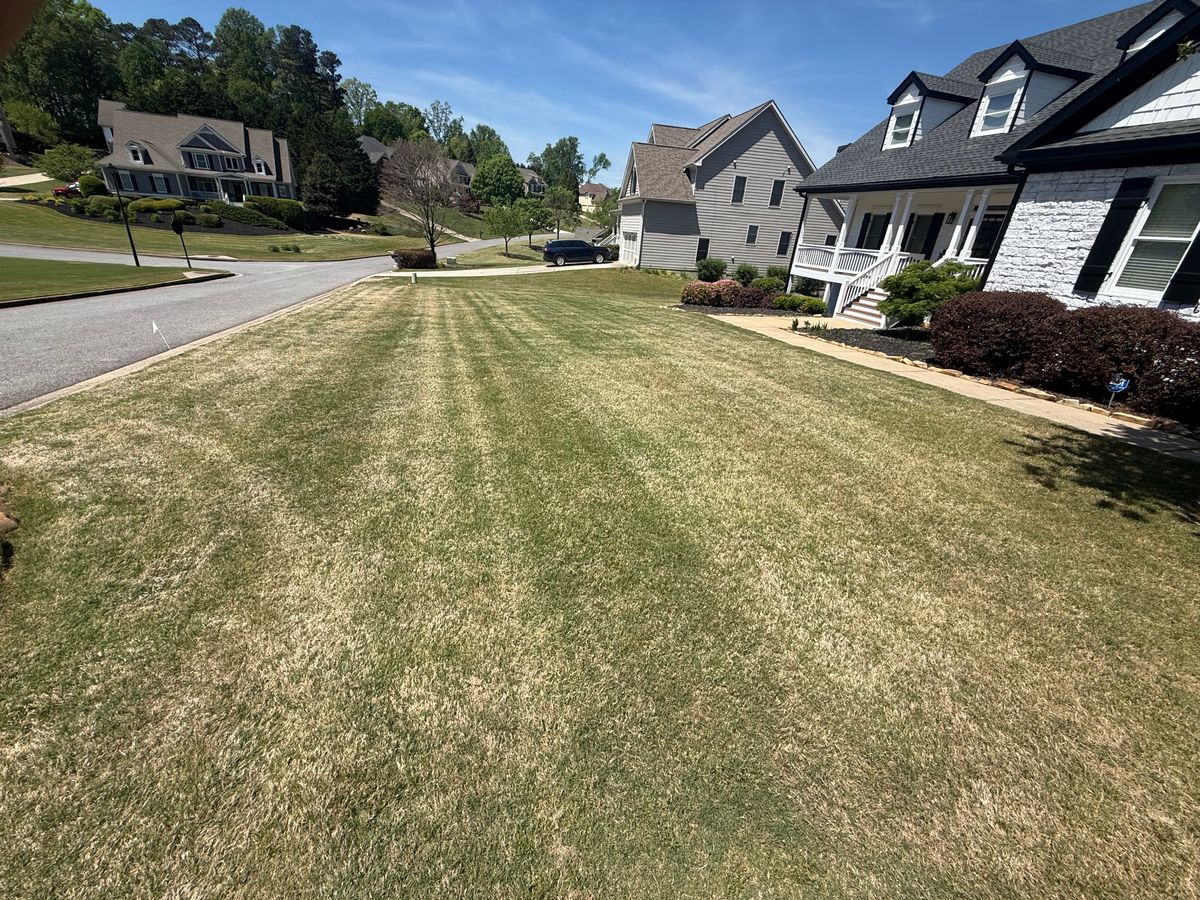 Lawn Care Fertilization for Amerigreen Lawn & Landscape in Duluth, GA