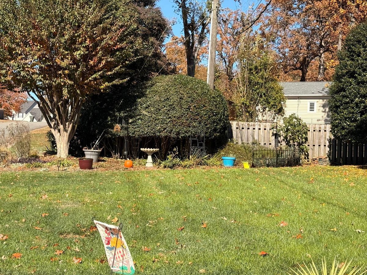 Other Lawn Maintenance for America's Top Pick Lawn & Landscaping in Gastonia, NC