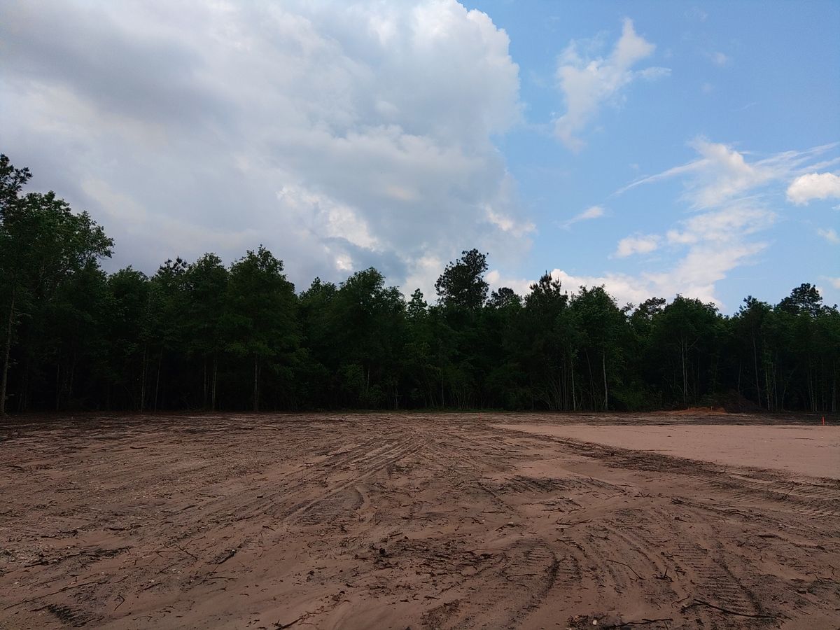 Land Clearing for Big Thicket Land Clearing in Kountze, TX
