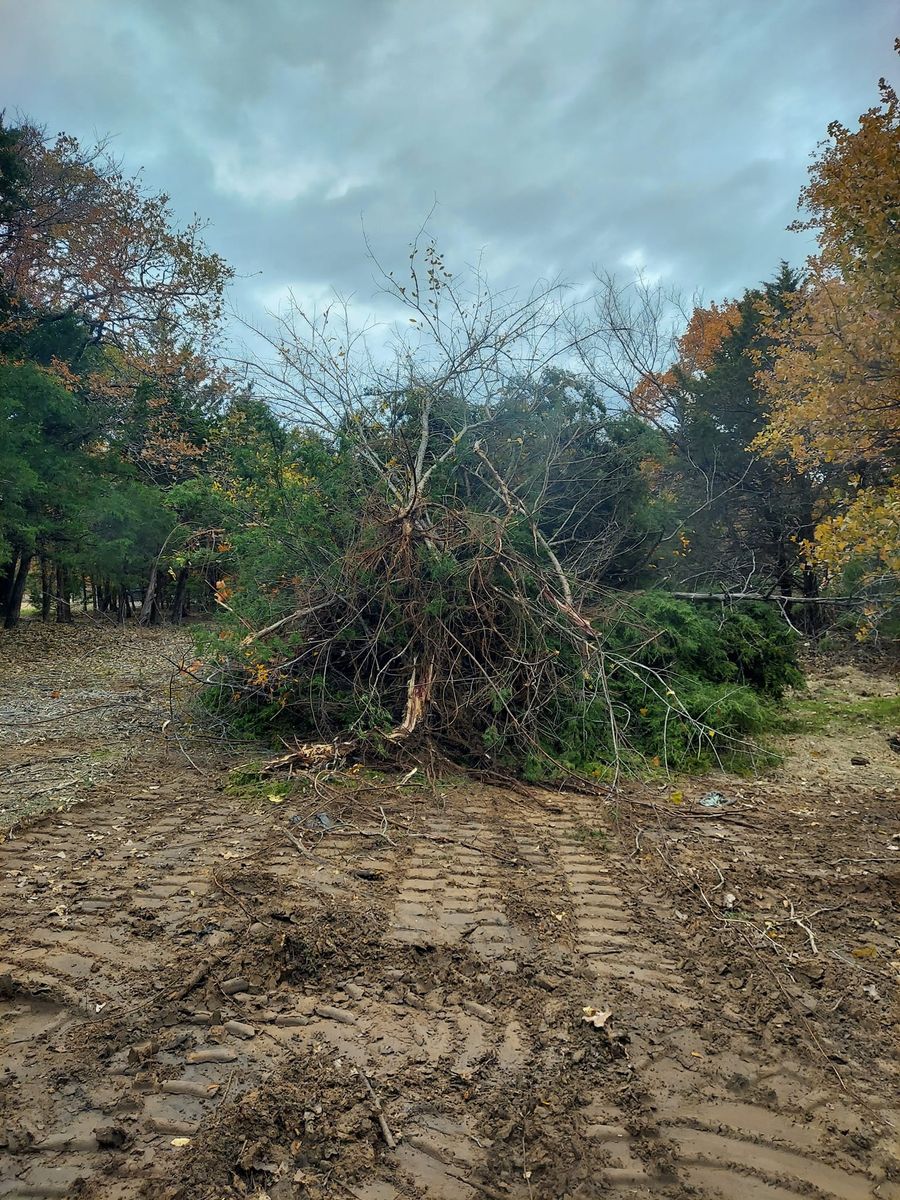 Forestry Mulching for 4H Property Services in Sanger, TX