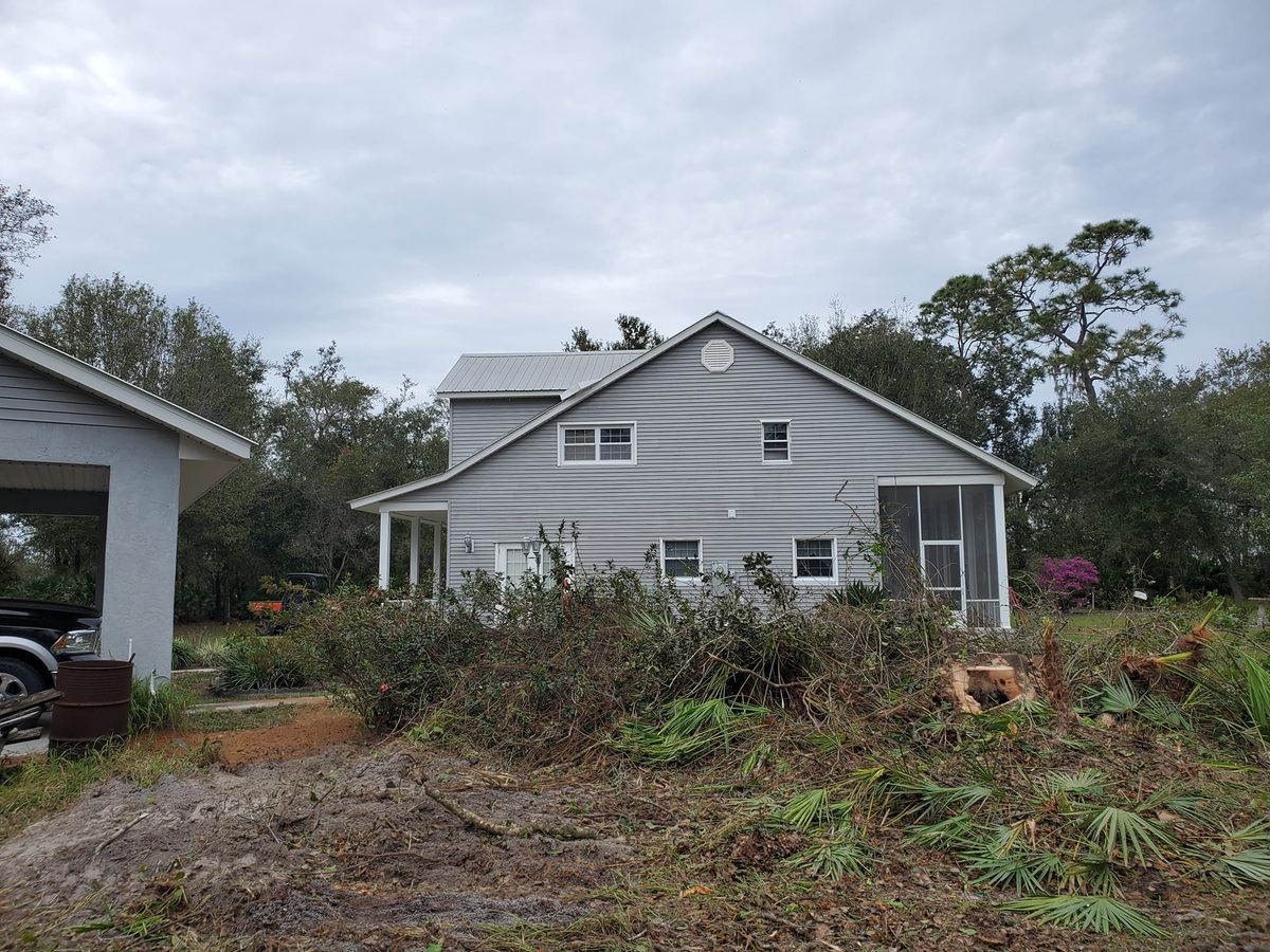 Tree Removal for Regal Tree Service and Stump Grinding in Wauchula, FL