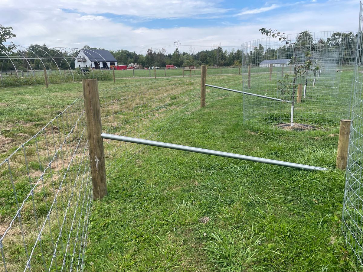 Chain Link Fencing for TMF Services in Lapeer County, MI
