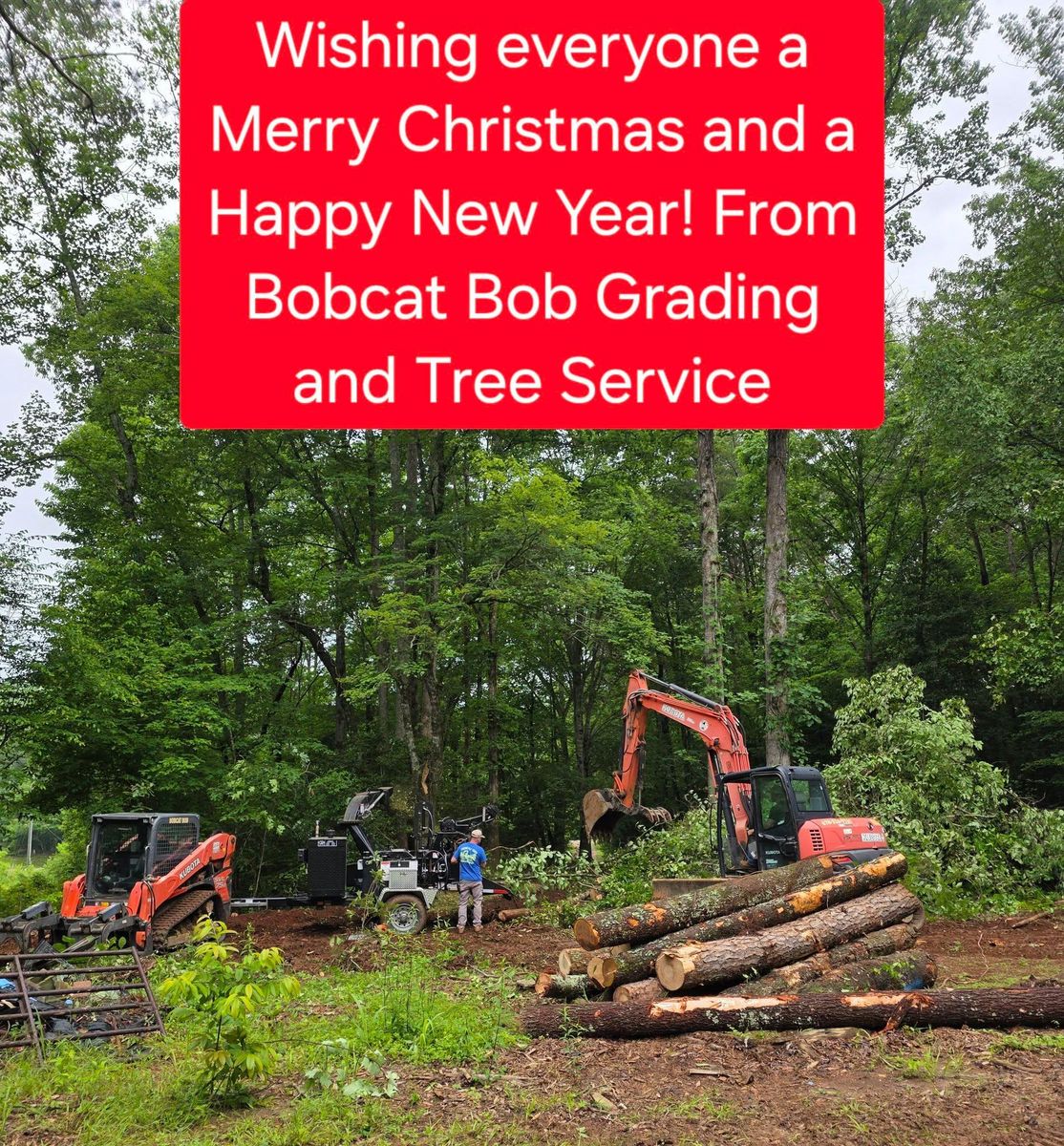 Land Clearing & Demolition for Bobcat Bob in Clermont, GA