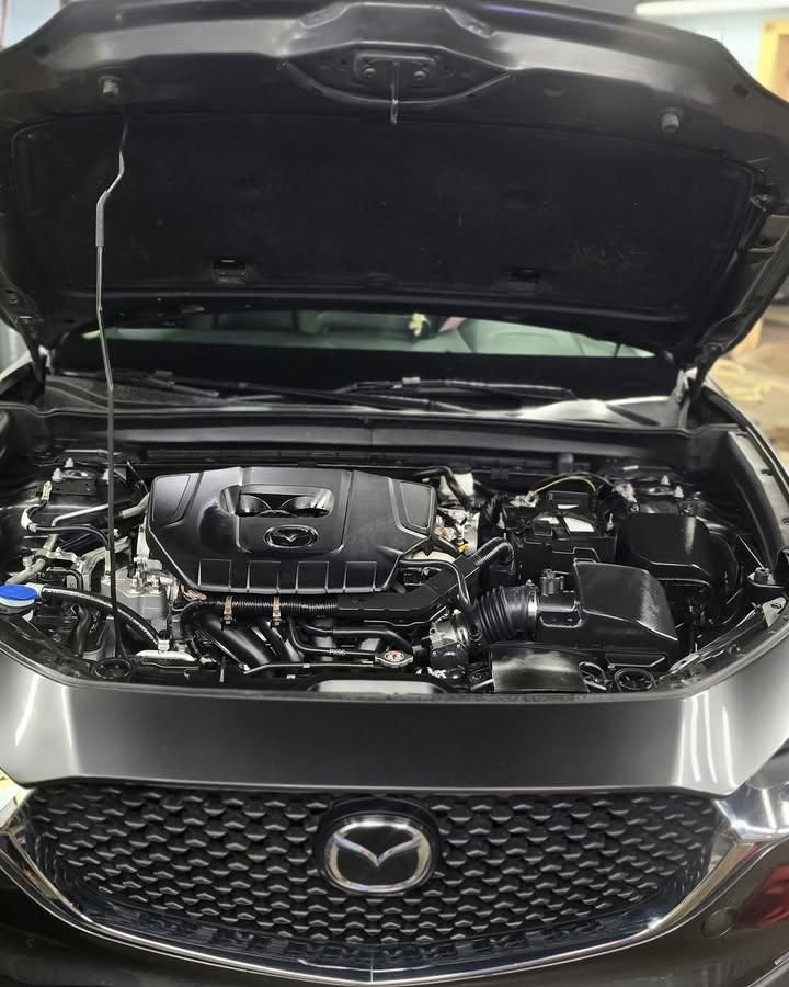 Exterior Detailing for Luxury Auto Detail in Peoria, IL