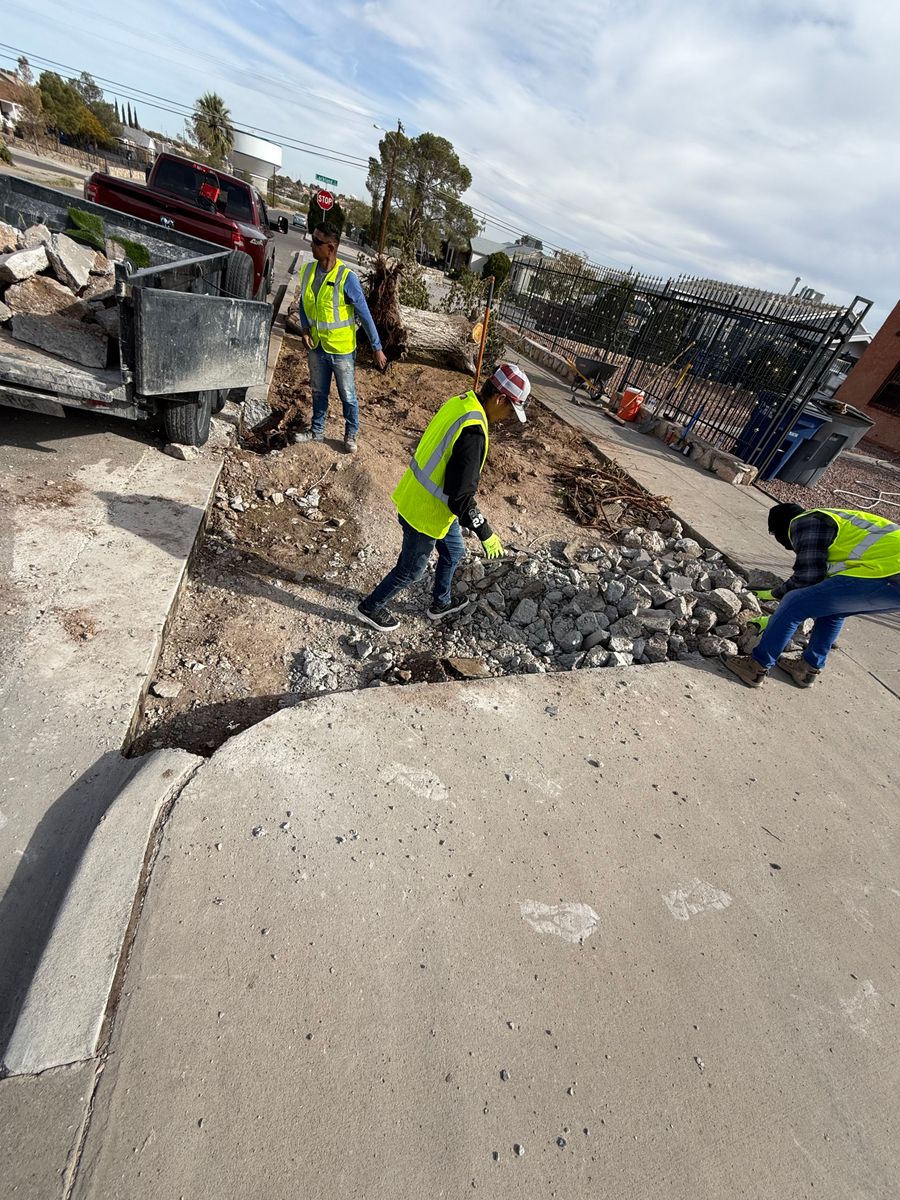 Tree Removal for Oasis Landscaping LLC in El Paso, TX